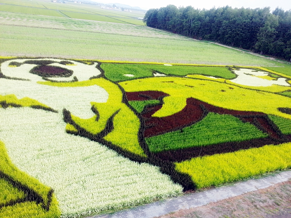 今年はあついですね。。。