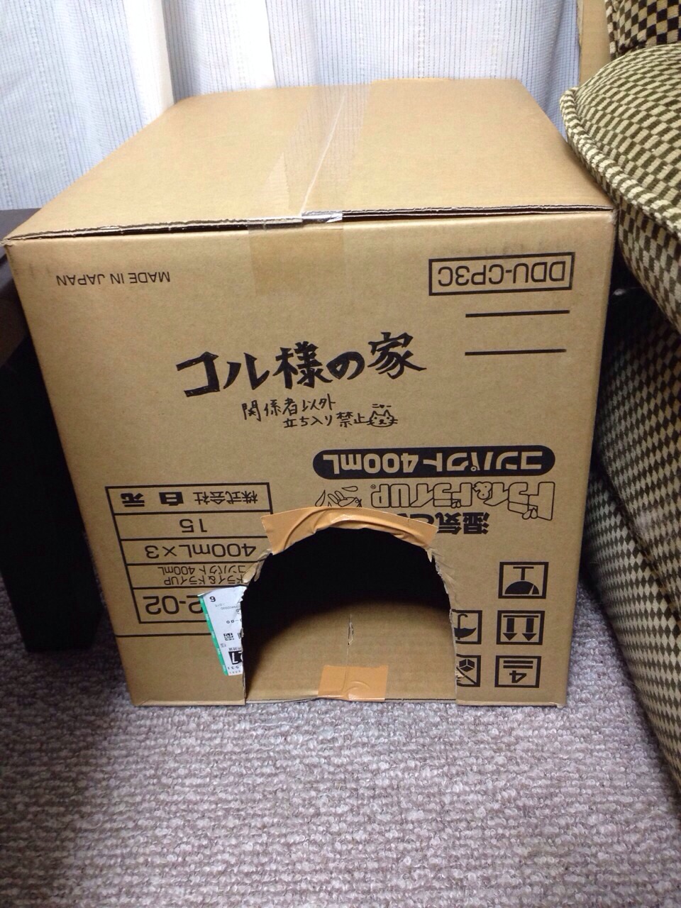 4月です