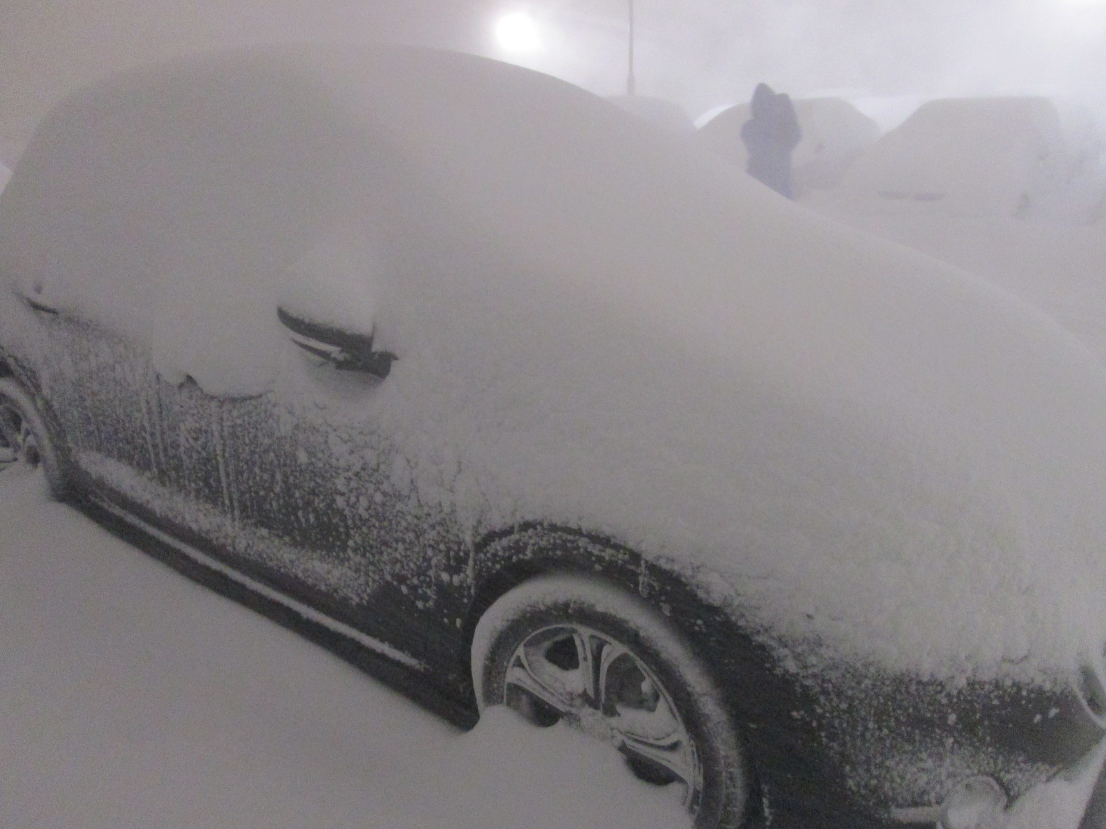 遅れましたが・・・