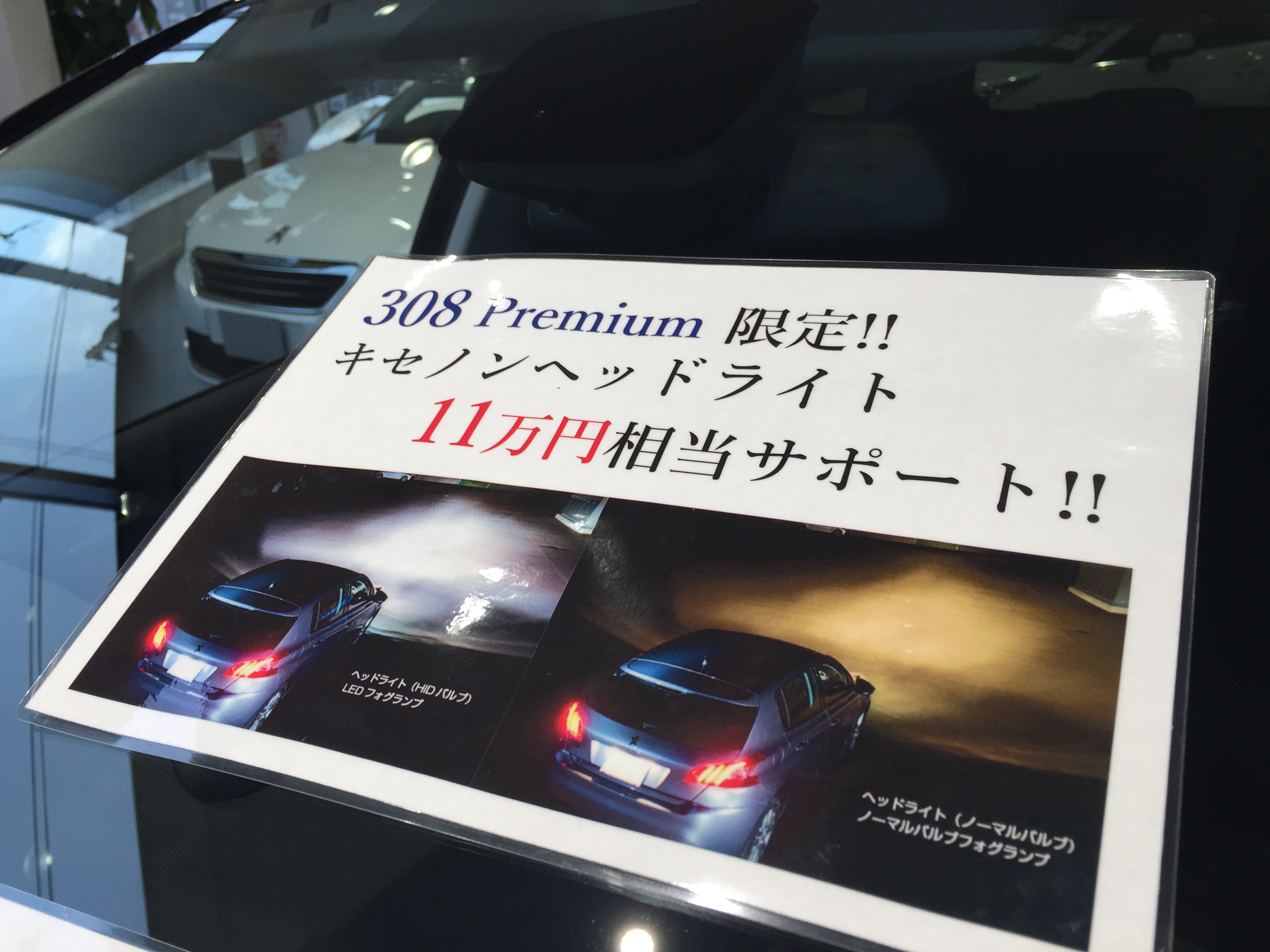 308 Limited Campaign !!