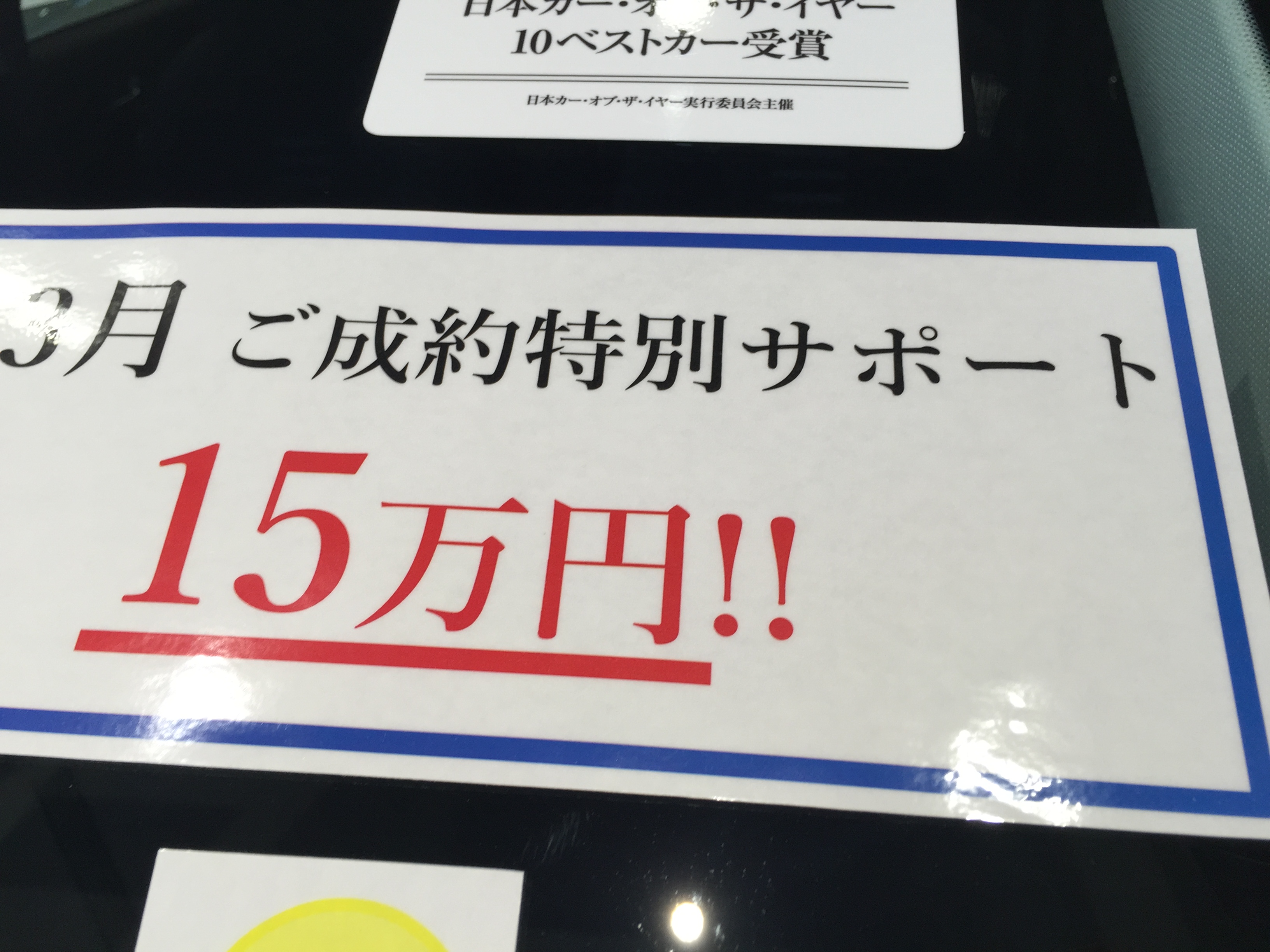 308 Limited Campaign !!