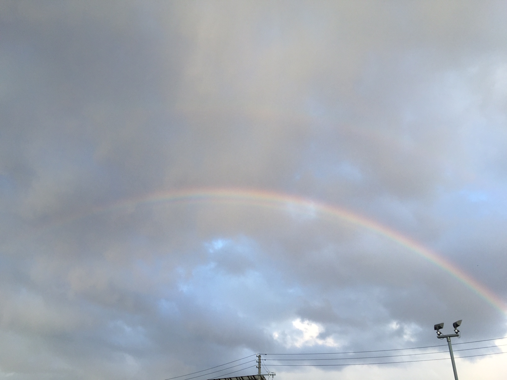 久しぶりの雨
