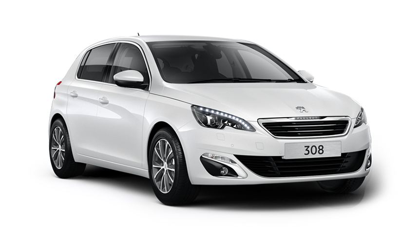 スペシャルクーポン!!