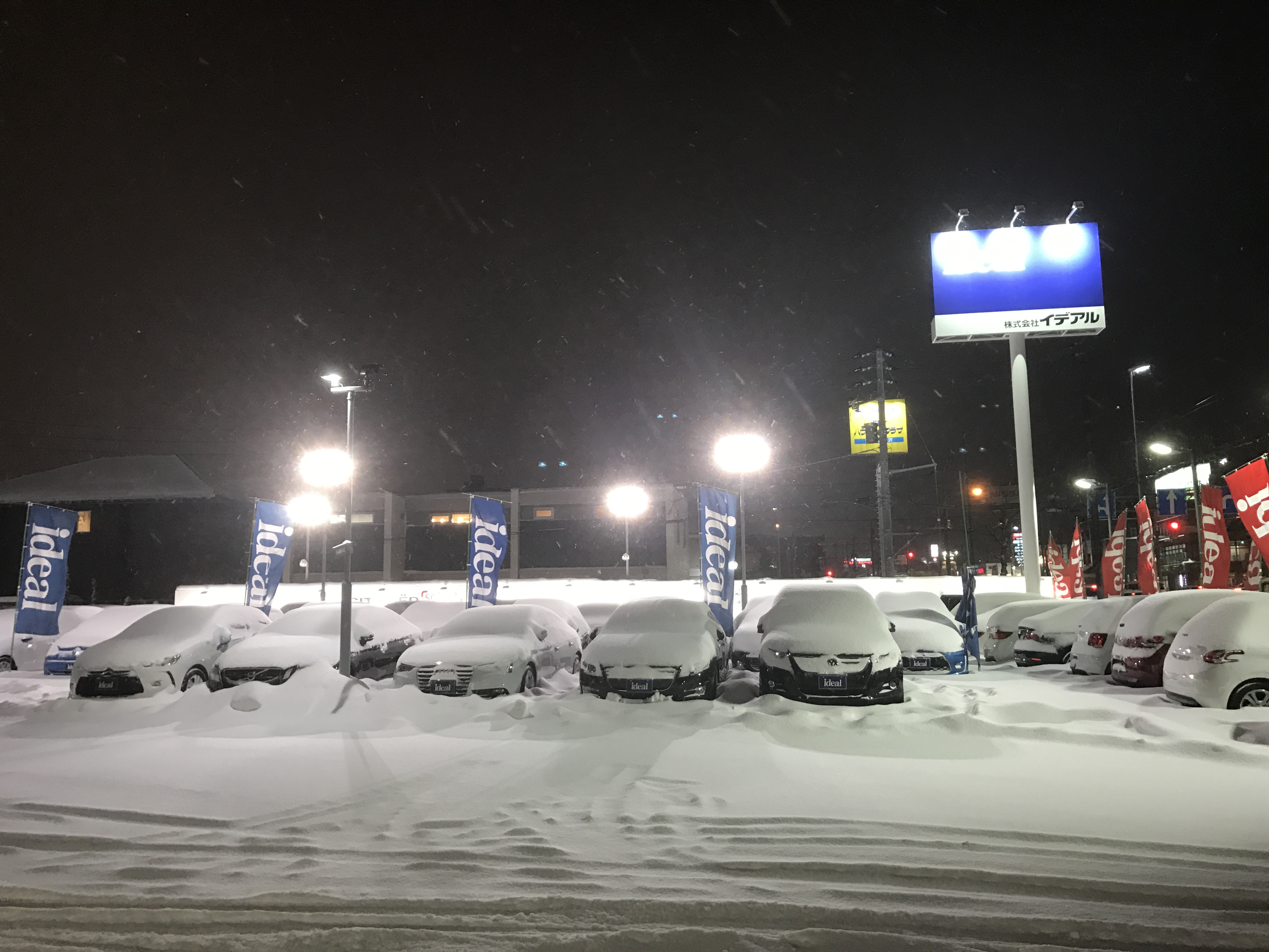 外はすっかり銀世界です。