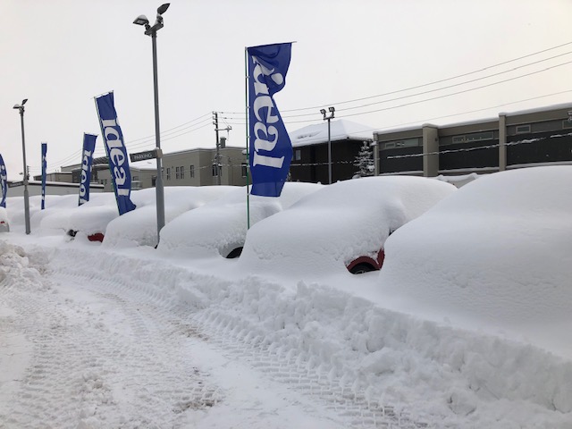 久々の大雪