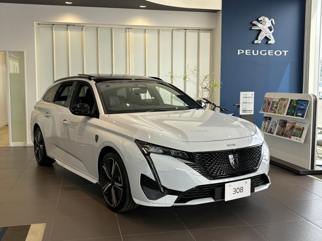308SWのご紹介