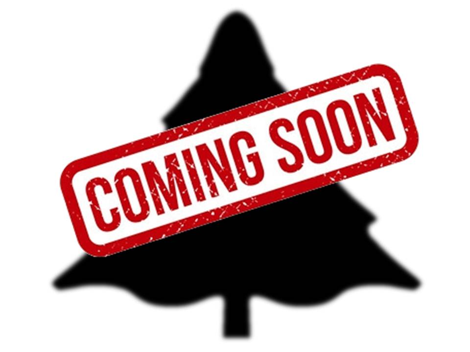 Coming　Soon