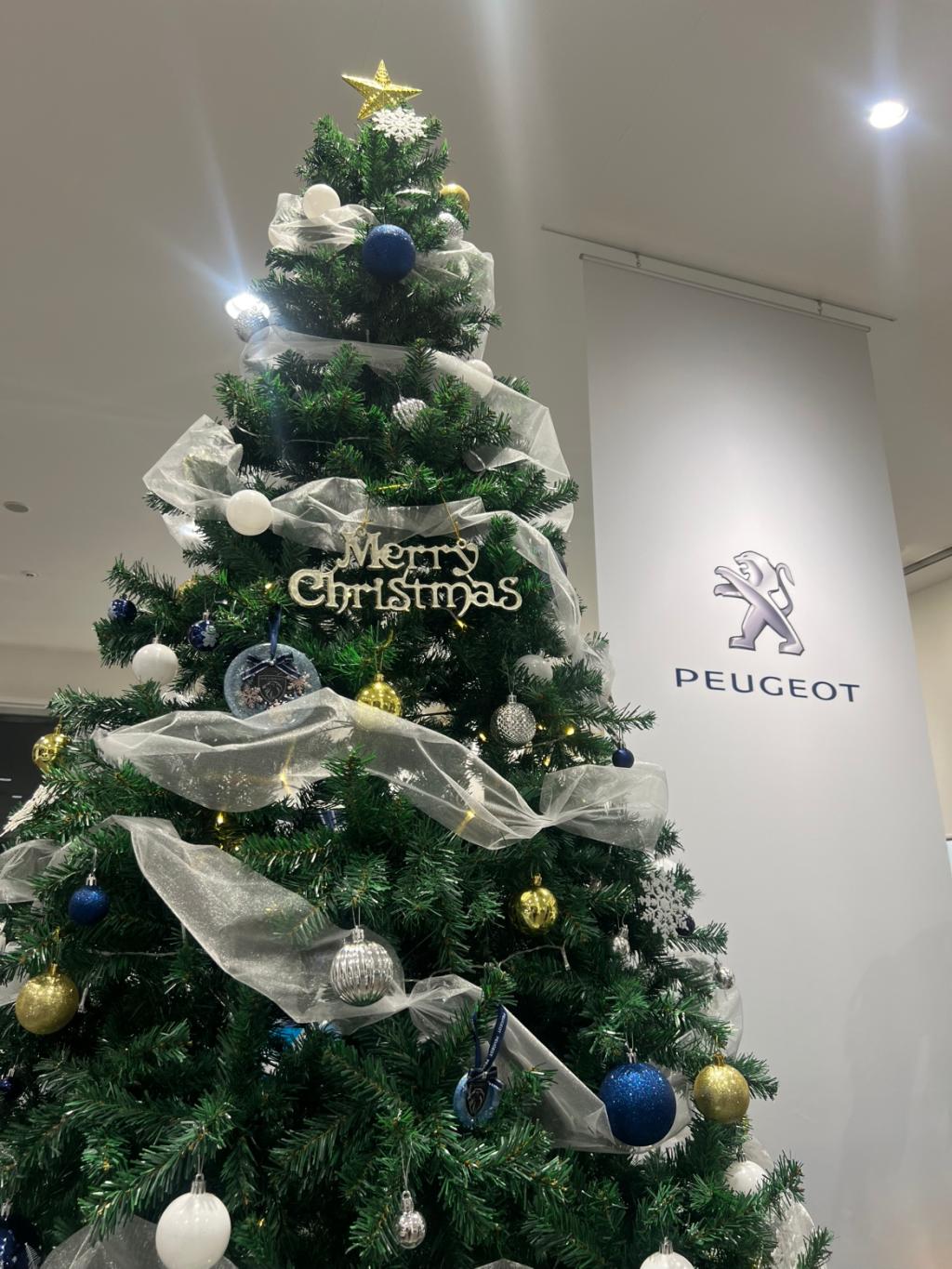 本日はクリスマス！