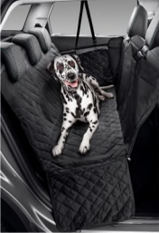 イベントのお知らせ